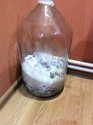 IMG_20181105_182450.jpg