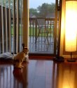B5B67AE8-748C-4487-BE2B-94B5B034DA57.jpeg