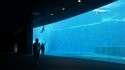 DSC07243.JPG