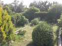20140602_164842.jpg