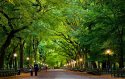 Central+Park+New+York+2013.jpg