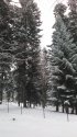 IMG_20170119_085028.jpg
