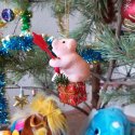 20181230_121046.jpg