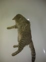 IMG_20190101_141722.jpg