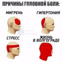 IMG_20190207_074238.jpg