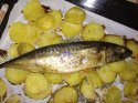 IMG_20190207_211931.jpg