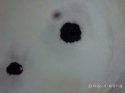 IMG_20190217_180742.jpg