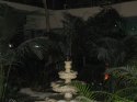 IMG_2117.jpg