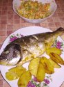IMG_20190410_215951.jpg