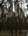 IMG_20190416_094643.jpg