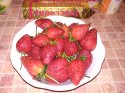 IMG_20190426_213200.jpg