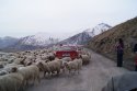 DSC00131.JPG