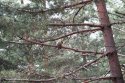 DSC00639.JPG