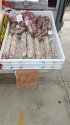 IMG_20190528_104916.jpg