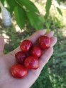 IMG-20190612-WA0002.jpg