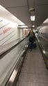 IMG_20190520_081811.jpg