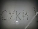IMG-20190615-WA0086.jpg