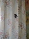 IMG_20190623_101313.jpg