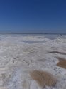 IMG-20190622-WA0001.jpg