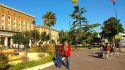 IMG_20190601_075506.jpg