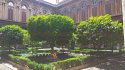 IMG_20190602_134238.jpg