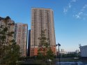20190703_025241.jpg