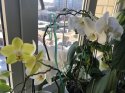 IMG_9153.jpeg