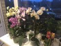 IMG_9969.jpeg