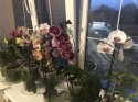 IMG_9971.jpeg