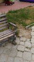P_20190710_152333.jpg