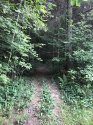18045261-6986-43F0-8168-A718F8A95D3B.jpeg