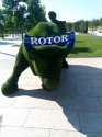 IMG_20190803_101341.jpg