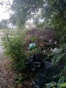 IMG_20190827_192346.jpg