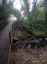 IMG_20190827_193749.jpg