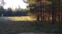 IMG_20190923_091400.jpg