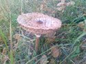 15102011394.jpg