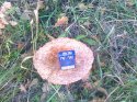 15102011396.jpg