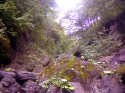 25092008(083)_exposure_resize.jpg