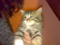 08102008732.jpg