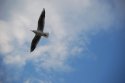 DSC_5032.jpg