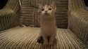 DSC02930.JPG