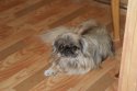 DSC01807.JPG