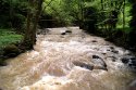 DSC00464.JPG