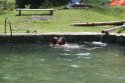 DSC00510.JPG
