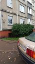 IMG_20190915_140317-2.jpg