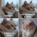 rTYSc1jFpxg.jpg