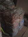 IMG0691A.jpg