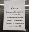 1584901337-d9dcbe1347cdd6e77f33399d6751b20a.png