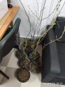 IMG_20200326_092315.jpg