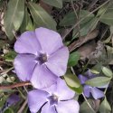 IMG_20200412_233608_278.jpg